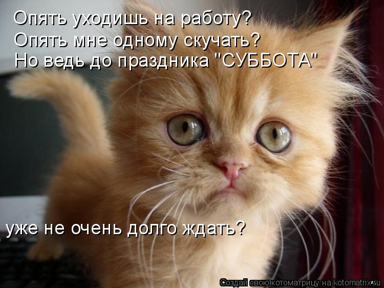 http://kotomatrix.ru/images/lolz/2011/11/24/1045802.jpg