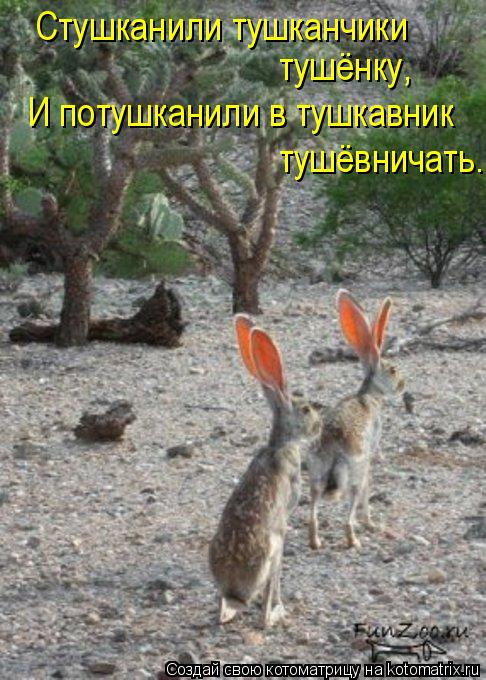 Стушканили тушканчики тушёнку, И потушканили в тушкавник тушёвничать.... Котоматрица: Стушканили тушканчики тушёнку, И потушканили в тушкавник тушёвничать.