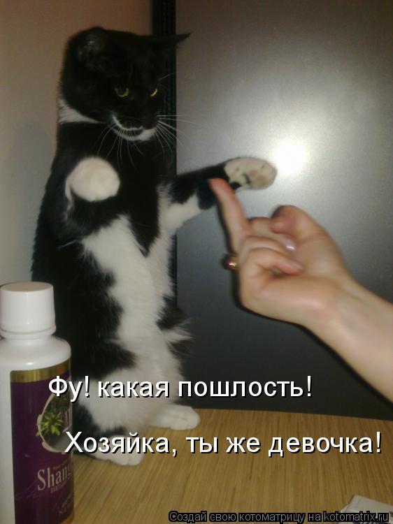 Фу! какая пошлость! Хозяйка, ты же девочка!... Котоматрица: Фу! какая пошлость! Хозяйка, ты же девочка!