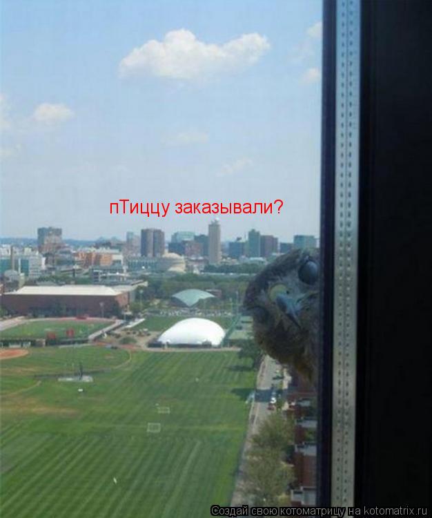 пТиццу заказывали?... Котоматрица: пТиццу заказывали?