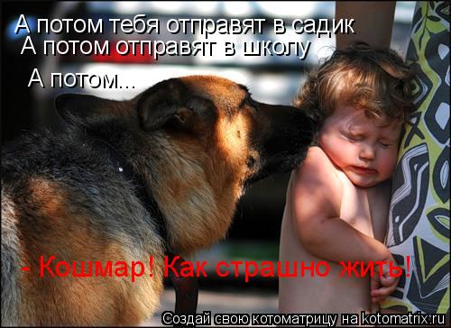 Котоматрица: А потом тебя отправят в садик А потом отправят в школу А потом... - Кошмар! Как страшно жить!