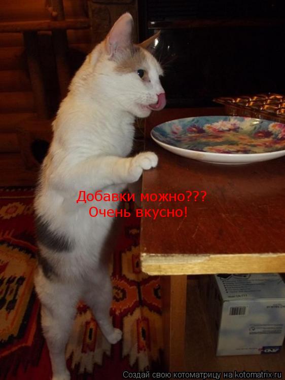 Котоматрица: Добавки можно??? Очень вкусно!