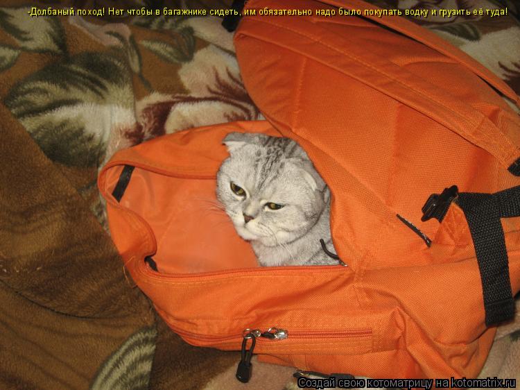 Котоматрица: -Долбаный поход! Нет чтобы в багажнике сидеть, им обязательно надо было покупать водку и грузить её туда!