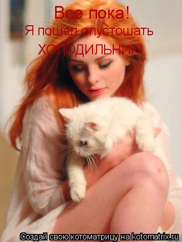 Котоматрица: Все пока! Я пошел опустошать ХОЛОДИЛЬНИК!