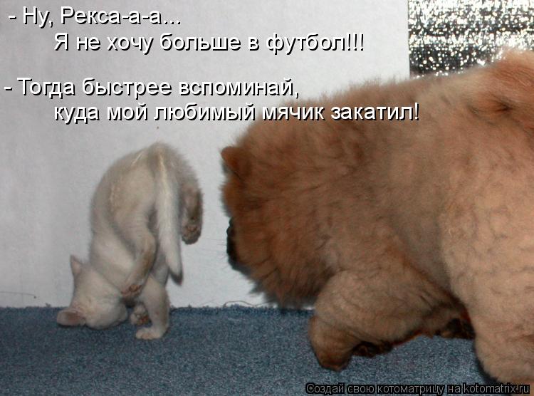 Котоматрица: - Ну, Рекса-а-а...  Я не хочу больше в футбол!!! куда мой любимый мячик закатил! - Тогда быстрее вспоминай,