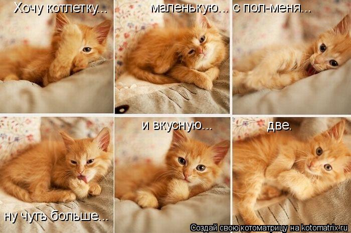Котоматрица: Хочу котлетку... маленькую... с пол-меня... ну чуть больше... и вкусную... две.