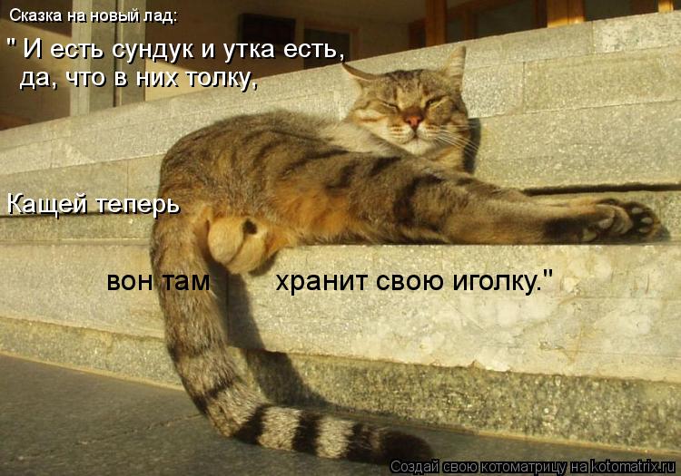 Котоматрица: Сказка на новый лад: " И есть сундук и утка есть,  да, что в них толку, Кащей теперь  вон там        хранит свою иголку."