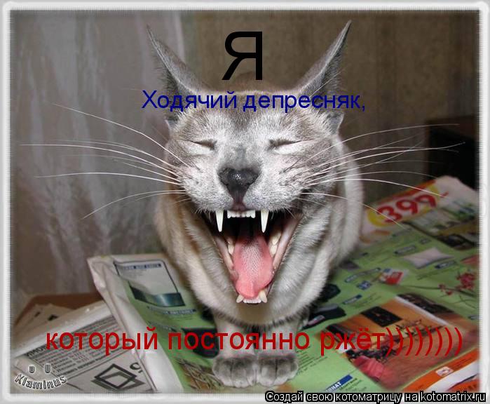 Котоматрица: Я который постоянно ржёт)))))))) Ходячий депресняк,