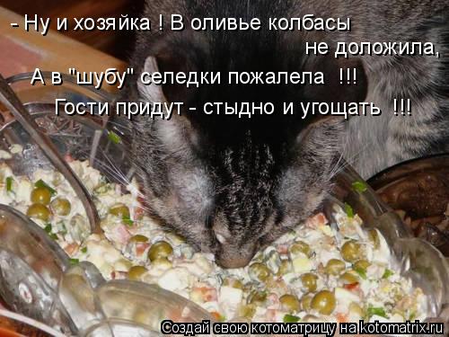 Котоматрица: - Ну и хозяйка ! В оливье колбасы не доложила, Гости придут - стыдно и угощать  !!! А в "шубу" селедки пожалела  !!!