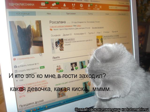 Котоматрица: И кто это ко мне в гости заходил? какая девочка, какая киска...мммм..