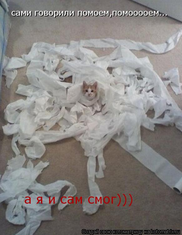 Котоматрица: сами говорили помоем,помооооем... а я и сам смог)))