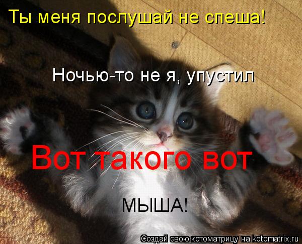 Котоматрица: Вот такого вот Ты меня послушай не спеша! Ночью-то не я, упустил МЫША!