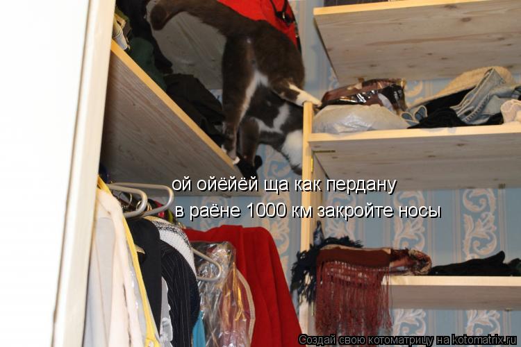 Котоматрица: ой ойёйёй ща как пердану в раёне 1000 км закройте носы