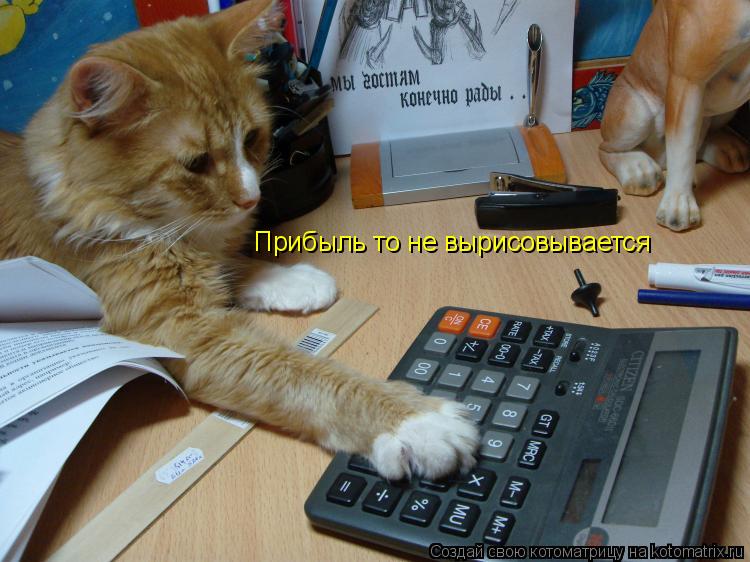 Котоматрица: Прибыль то не вырисовывается