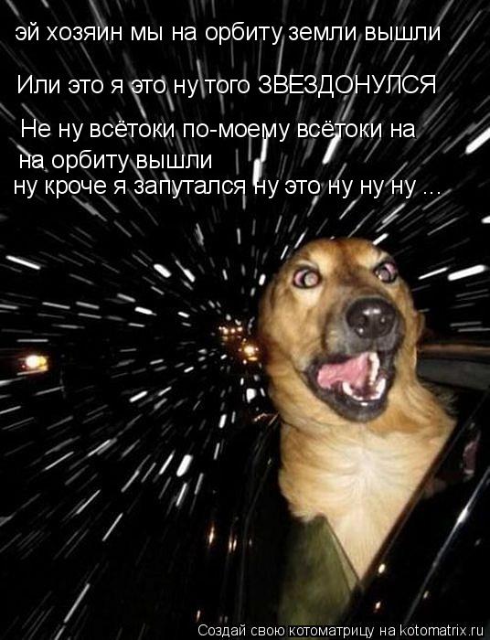 Котоматрица: эй хозяин мы на орбиту земли вышли Или это я это ну того ЗВЕЗДОНУЛСЯ Не ну всётоки по-моему всётоки на на орбиту вышли  ну кроче я запутался н
