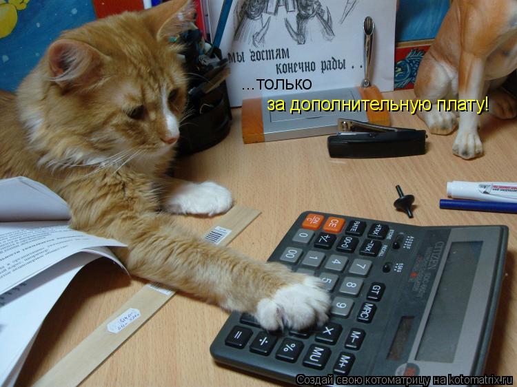 Котоматрица: ...только за дополнительную плату!