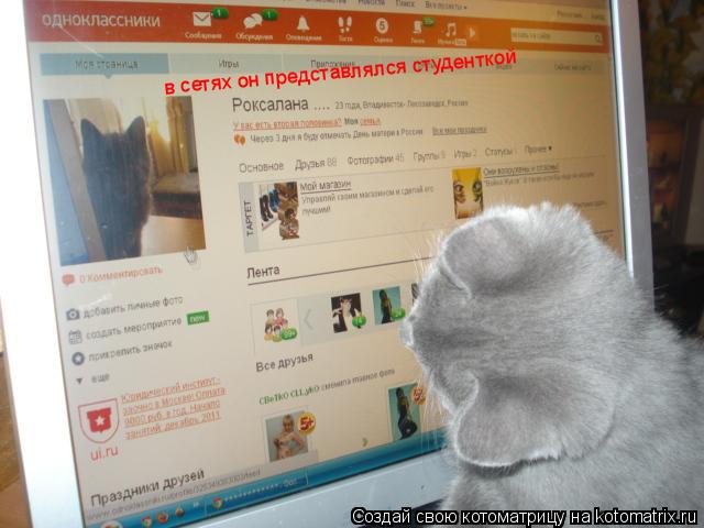Котоматрица: в сетях он представлялся студенткой