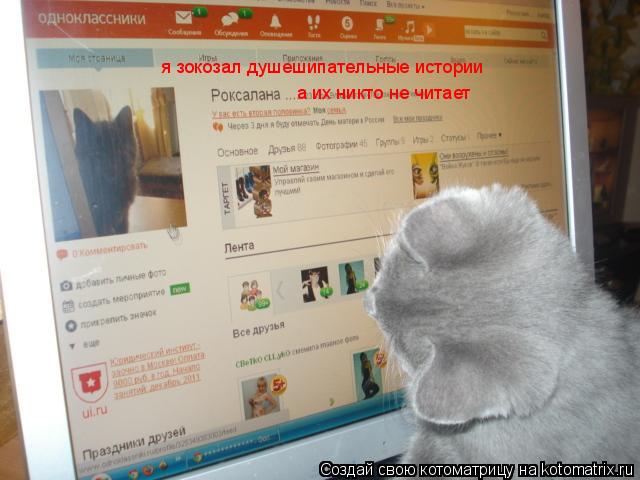 Котоматрица: я зокозал душешипательные истории а их никто не читает