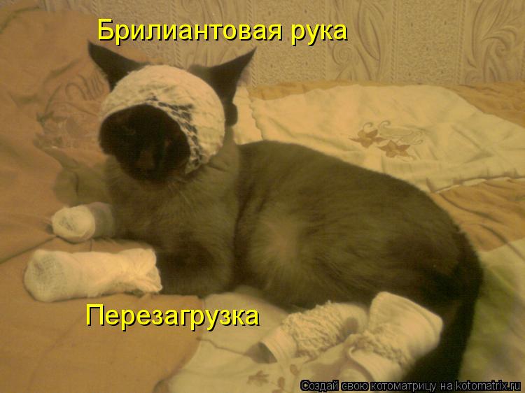 Котоматрица: Брилиантовая рука Перезагрузка