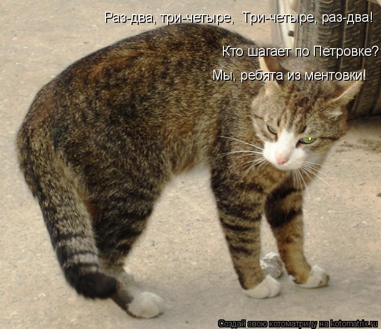 Котоматрица: Раз-два, три-четыре,  Три-четыре, раз-два!  Кто шагает по Петровке?  Мы, ребята из ментовки!   Кто шагает по Петровке?  Мы, ребята из ментовки!  Мы, 