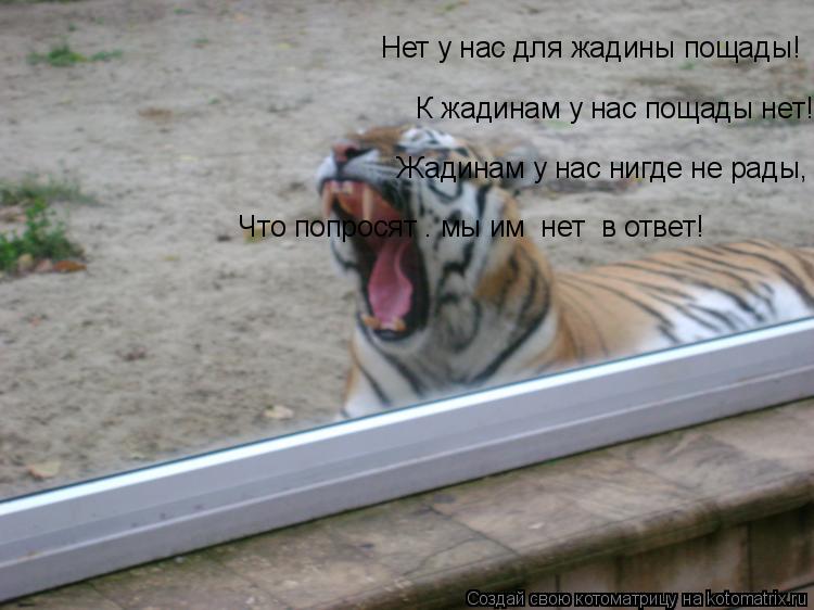 Котоматрица: Нет у нас для жадины пощады!  К жадинам у нас пощады нет!  Жадинам у нас нигде не рады,  Что попросят — мы им «нет» в ответ!   К жадинам у нас пощ