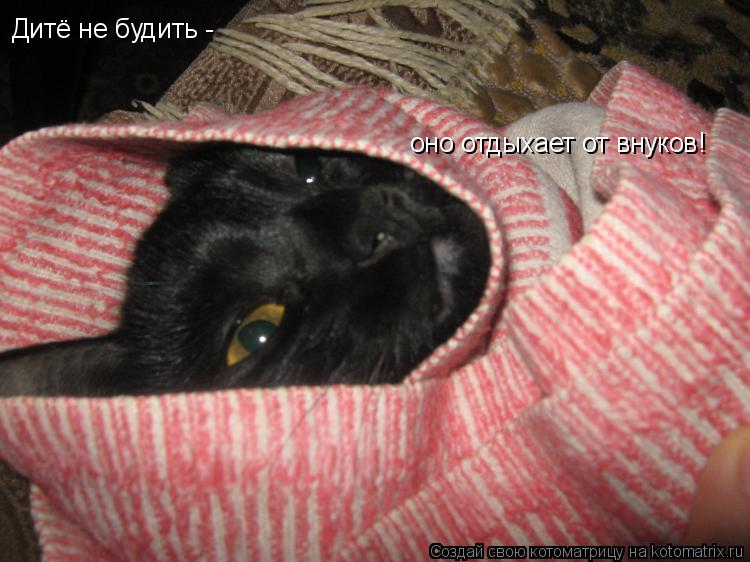 Котоматрица: Дитё не будить - оно отдыхает от внуков!