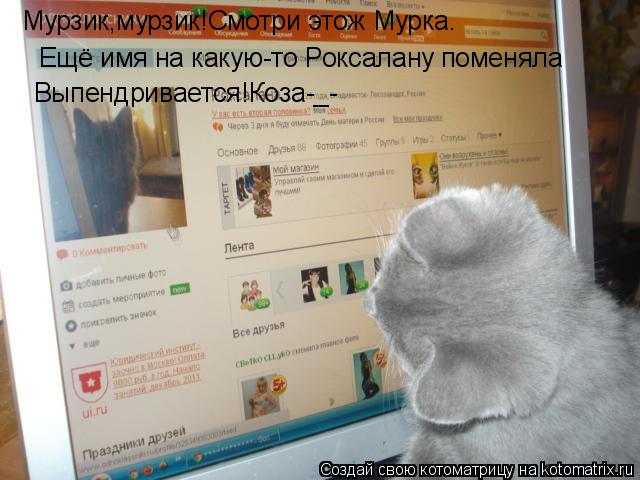 Котоматрица: Мурзик,мурзик!Смотри этож Мурка. Ещё имя на какую-то Роксалану поменяла Выпендривается!Коза-_-