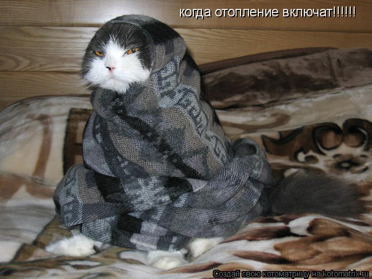 Котоматрица: когда отопление включат!!!!!!