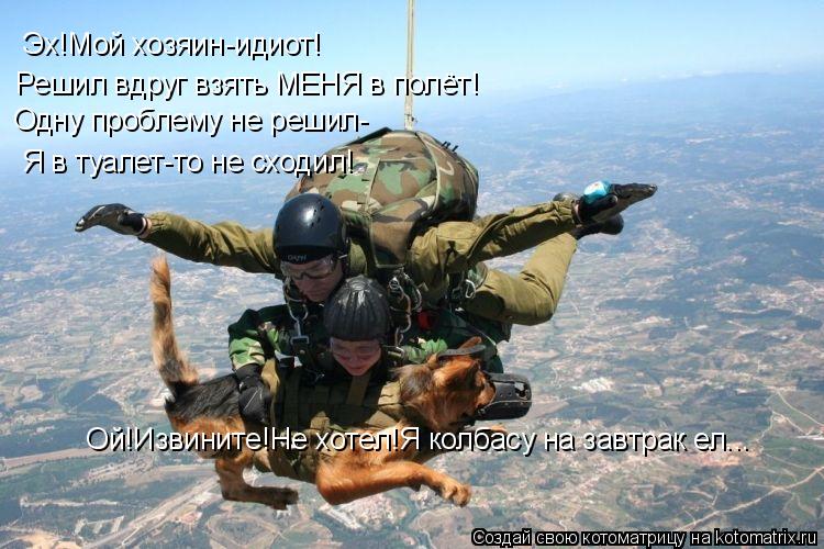 Котоматрица: Эх!Мой хозяин-идиот! Решил вдруг взять МЕНЯ в полёт! Одну проблему не решил- Я в туалет-то не сходил!  Ой!Извините!Не хотел!Я колбасу на завтра