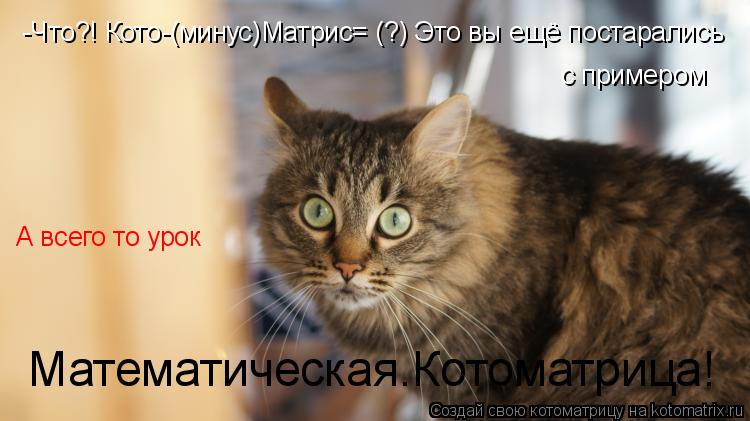 Котоматрица: -Что?! Кото-(минус)Матрис= (?) Это вы ещё постарались  с примером А всего то урок Математическая.Котоматрица!