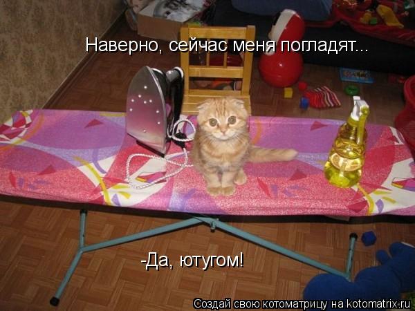 Котоматрица: Наверно, сейчас меня погладят... -Да, ютугом!