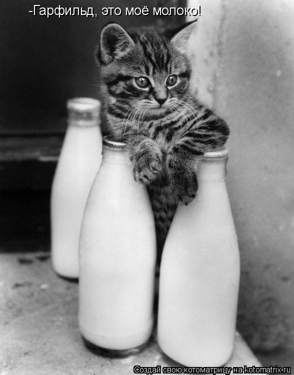 Котоматрица: -Гарфильд, это моё молоко!