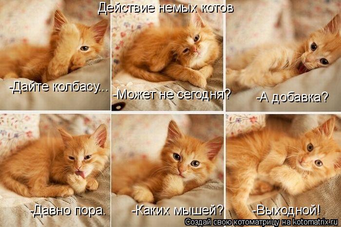 Котоматрица: Действие немых котов -Дайте колбасу... -Может не сегодня? -А добавка? -Давно пора.       -Каких мышей?        -Выходной!