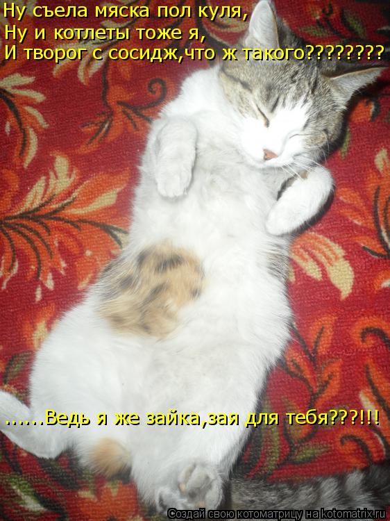 Котоматрица: Ну съела мяска пол куля, Ну и котлеты тоже я, И творог с сосидж,что ж такого???????? ......Ведь я же зайка,зая для тебя???!!!
