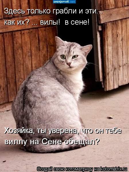 Котоматрица: Здесь только грабли и эти...  Хозяйка, ты уверена, что он тебе Хозяйка, ты уверена, что он тебе виллу на Сене обещал? как их? ... вилы!  в сене!