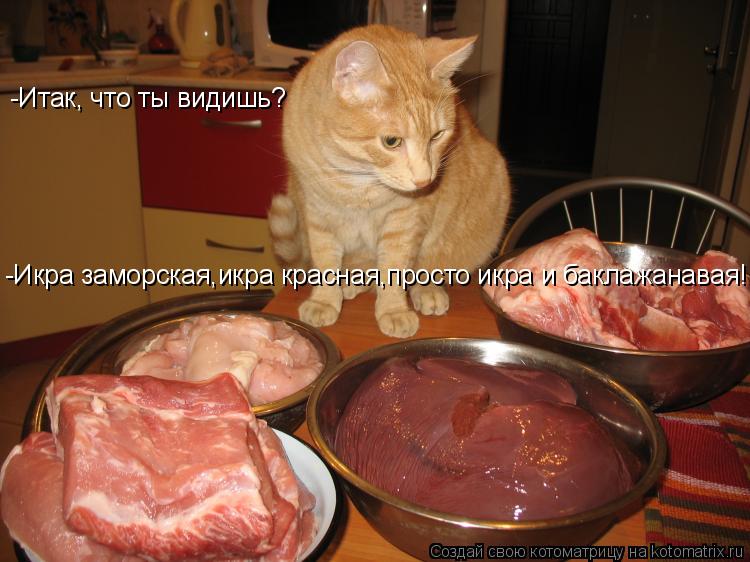 Котоматрица: -Итак, что ты видишь? -Икра заморская,икра красная,просто икра и баклажанавая!