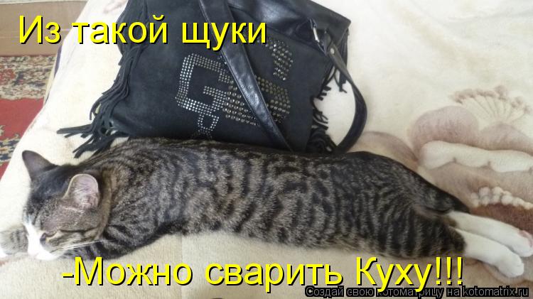 Котоматрица: Из такой щуки -Можно сварить Куху!!!