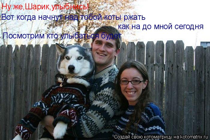 Котоматрица: Ну же,Шарик,улыбнись! Вот когда начнут над тобой коты ржать  как на до мной сегодня  Посмотрим кто улыбаться будет