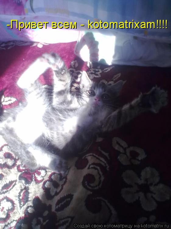 Котоматрица: -Привет всем - kotomatrixam!!!!