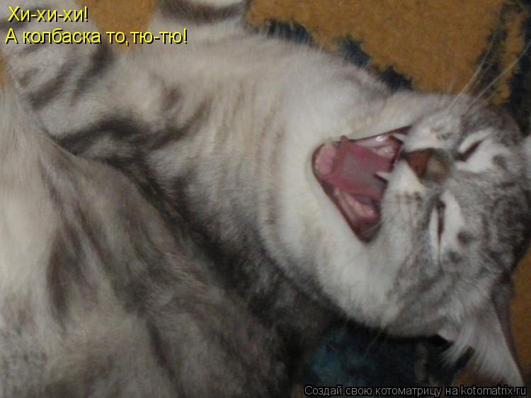Котоматрица: Хи-хи-хи! А колбаска то,тю-тю А колбаска то,тю-тю!