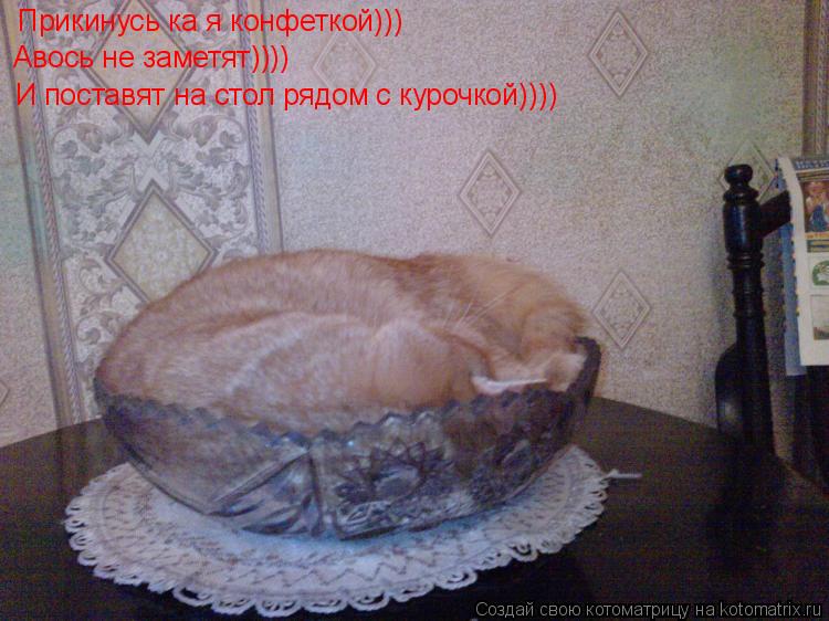 Котоматрица: Прикинусь ка я конфеткой))) Авось не заметят)))) И поставят на стол рядом с курочкой))))