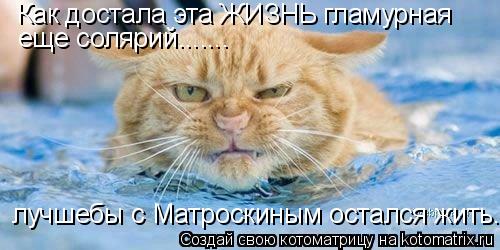 Котоматрица: Как достала эта ЖИЗНЬ гламурная еще солярий....... лучшебы с Матроскиным остался жить.