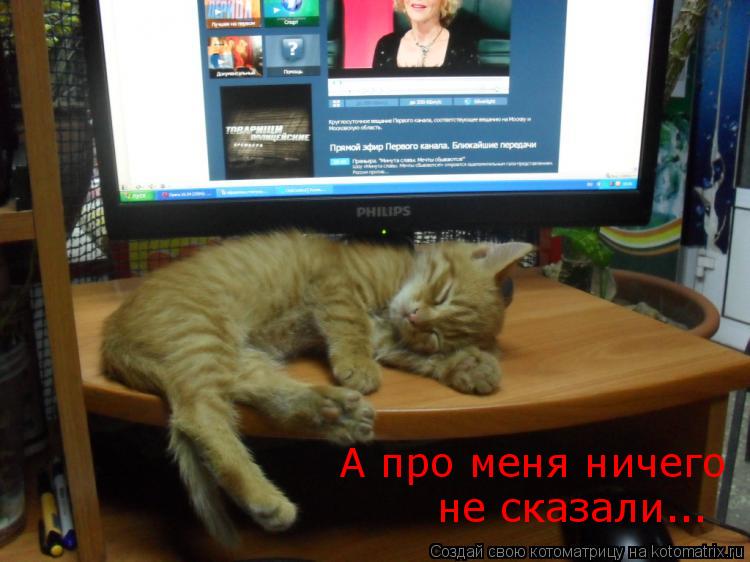 Котоматрица: А про меня ничего не сказали...