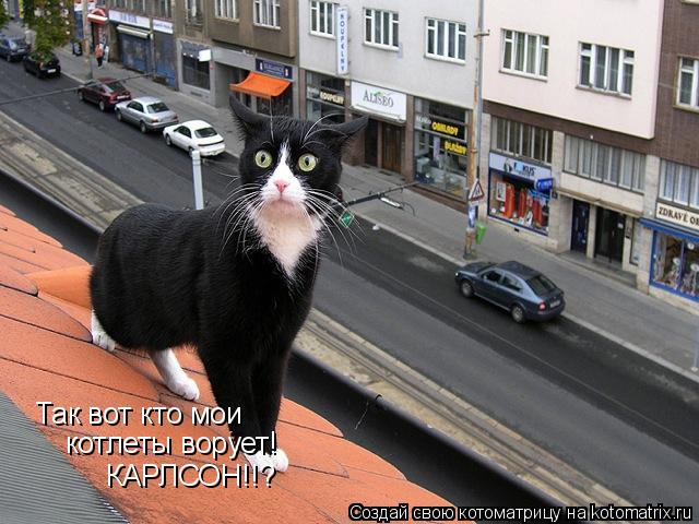 Котоматрица: Так вот кто мои котлеты ворует! КАРЛСОН!!?