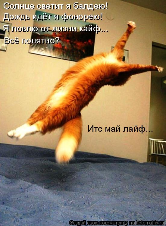 Котоматрица: Солнце светит я балдею! Дождь идёт я фонорею! Я ловлю от жизни кайф... Всё понятно? Итс май лайф...