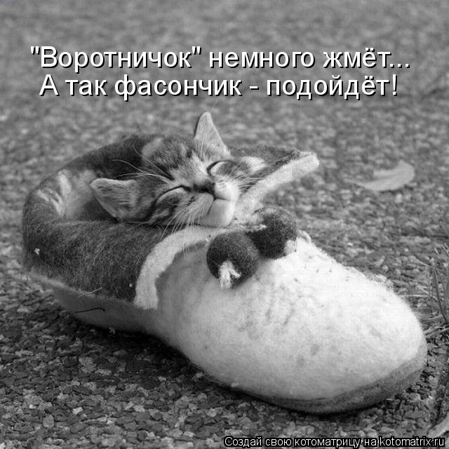 "Воротничок" немного жмёт... А так фасончик - подойдёт!... Котоматрица: "Воротничок" немного жмёт... А так фасончик - подойдёт!