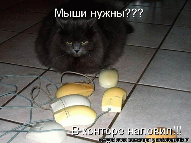 Котоматрица: Мыши нужны??? В конторе наловил!!!