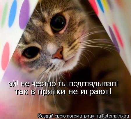эй! не честно ты подглядывал! так в прятки не играют!... Котоматрица: эй! не честно ты подглядывал! так в прятки не играют!