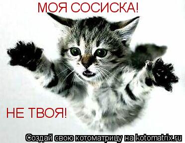 МОЯ СОСИСКА! НЕ ТВОЯ!... Котоматрица: МОЯ СОСИСКА! НЕ ТВОЯ!