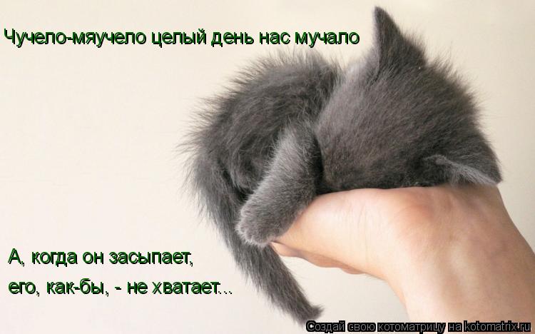 Чучело-мяучело целый день нас мучало А, когда он засыпает, его, как-бы, - не хватает...... Котоматрица: Чучело-мяучело целый день нас мучало А, когда он засыпает, его, как-бы, - не хватает...